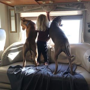 Meet your Posher, Lori